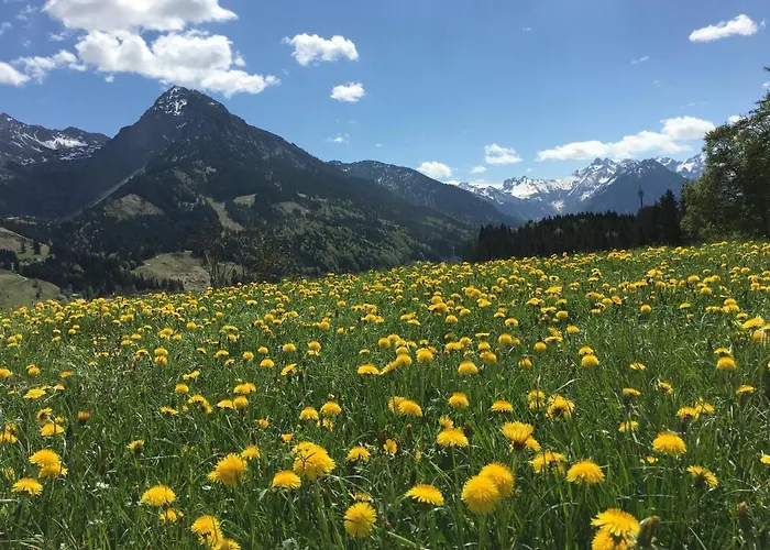 Bergfex Ifenblick Mit Ebikes Und Sommer-bergbahnticket Apartmán *