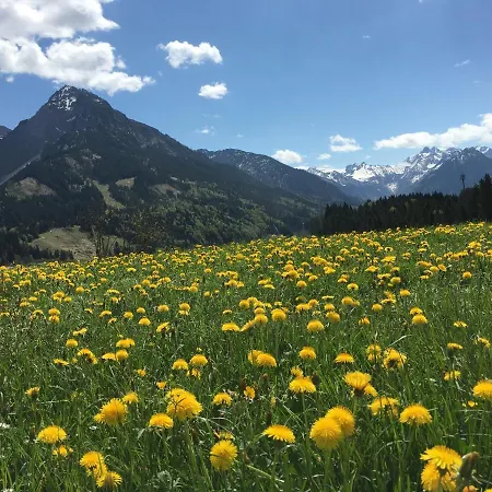 Bergfex Ifenblick Mit Sommer-bergbahnticket Apartment *