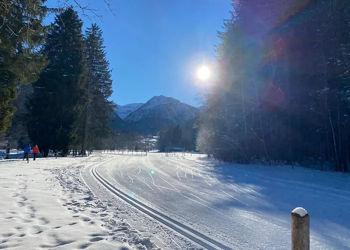 Bergfex Ifenblick Mit Ebikes Und Sommer-bergbahnticket *